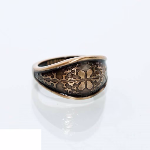 Rustfrit stål ring